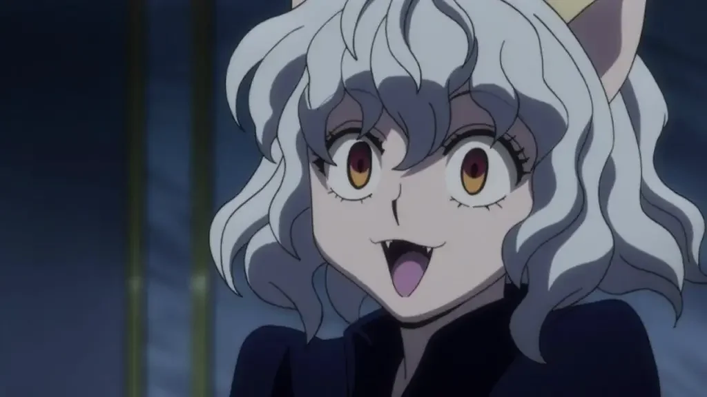 Neferpitou From Hunter x Hunter Top 12 Strongest Anime Waifus Of All Time