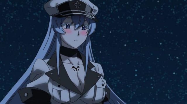 Esdeath From Akame ga Kill 35 Insane Yandere Characters In Anime