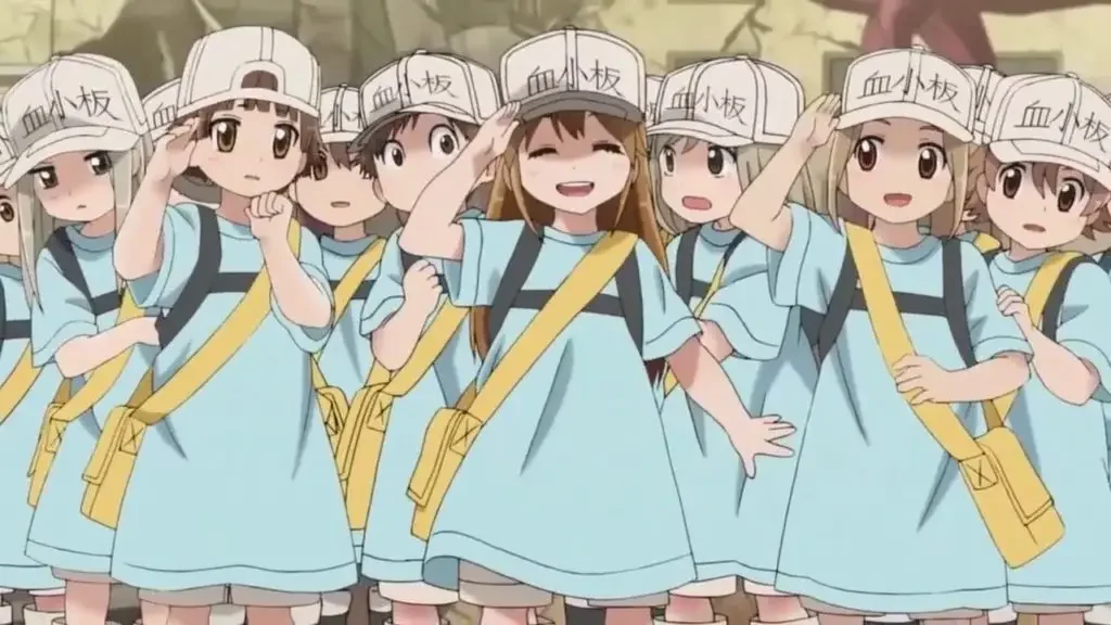 The Platelets From Cells at Work! 