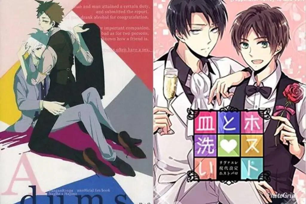 What is the difference between Doujinshi & Doujin?
