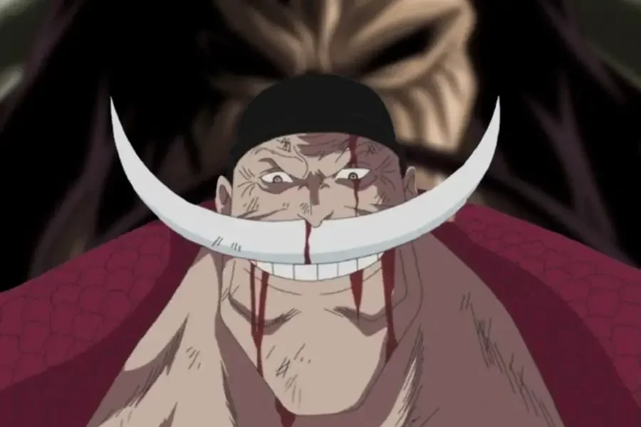 Edward Newgate Whitebeard from One Piece 25 Most Badass Old Man Characters in Anime