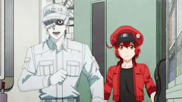 Red Blood Cell and White Blood Cell From Cells at Work 1 15 Iconic Anime Duos of All Time