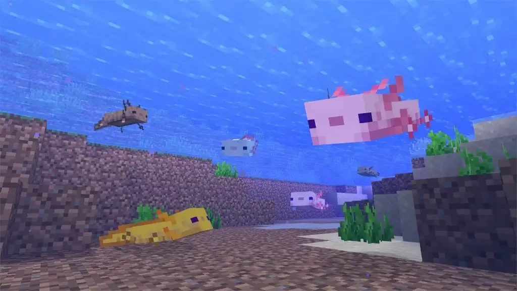 Axolotl 1 Minecraft Axolotl: How to Breed, Tame & Find?