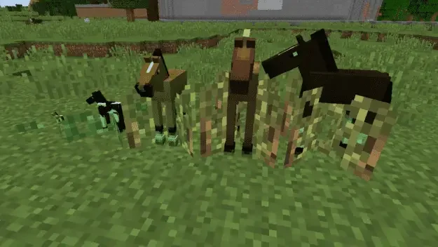 animal crops mod 23 Best Minecraft Animals & Wildlife Mods