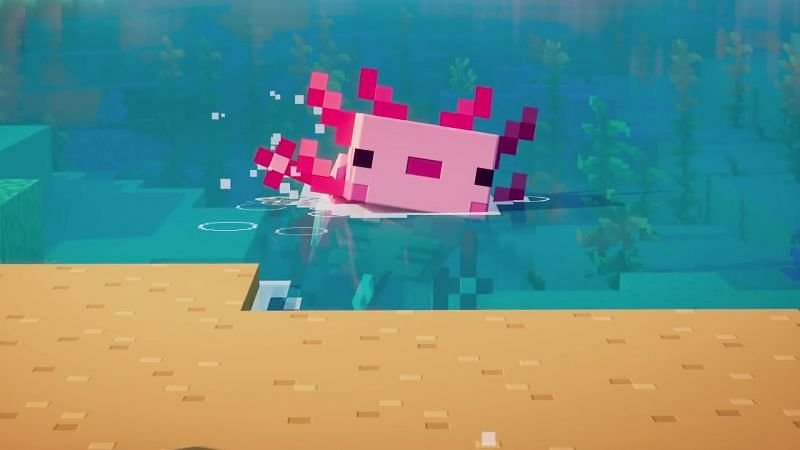 how to find Minecraft Axolotl