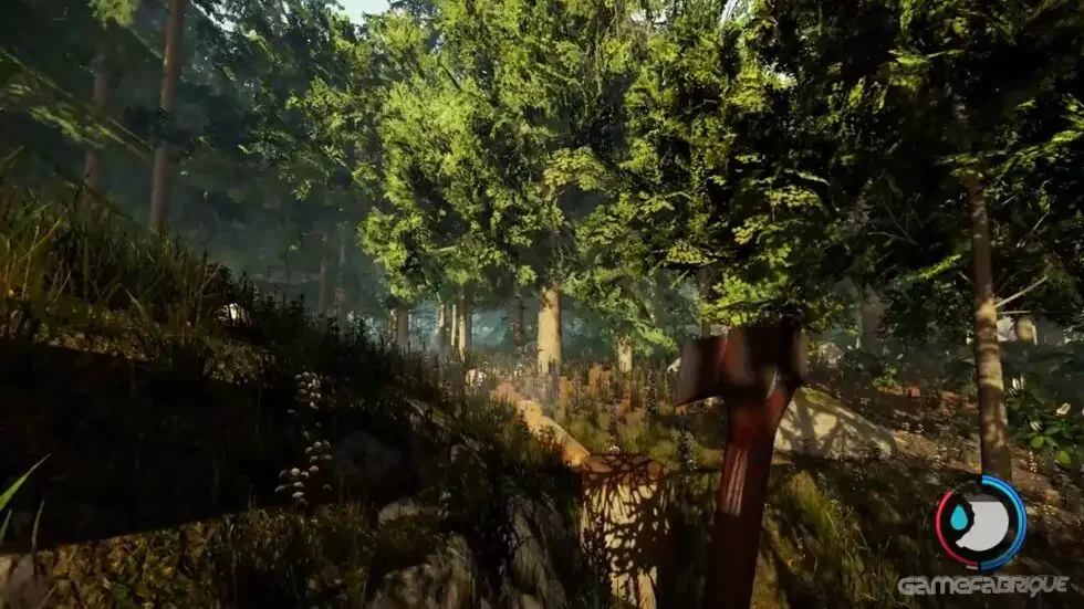 the forest gameplay Is The Forest Cross-Platform PC, PS4, Xbox, PS5?