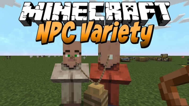 NPC Variety 1 18 Best NPC Mods For Minecraft