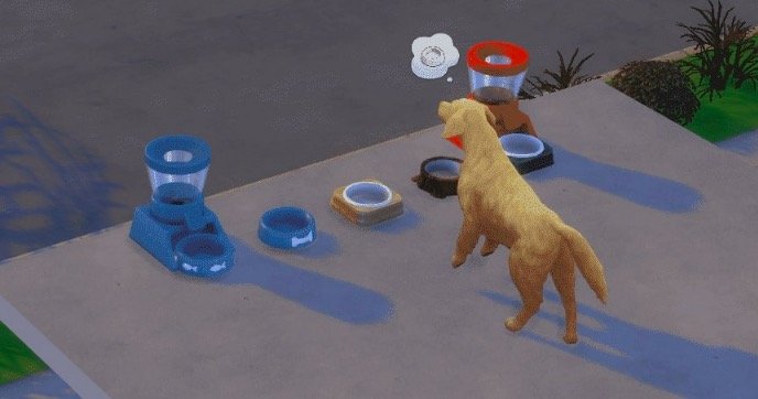 Pets May Find Pet Stuff on other floors