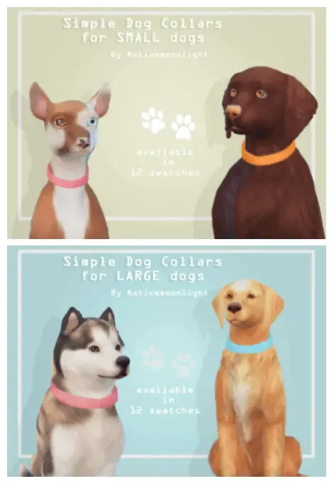 Small Dog Collars