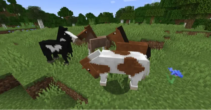 realistic horse genetics mod mc 21 Best Horse Mods For Minecraft