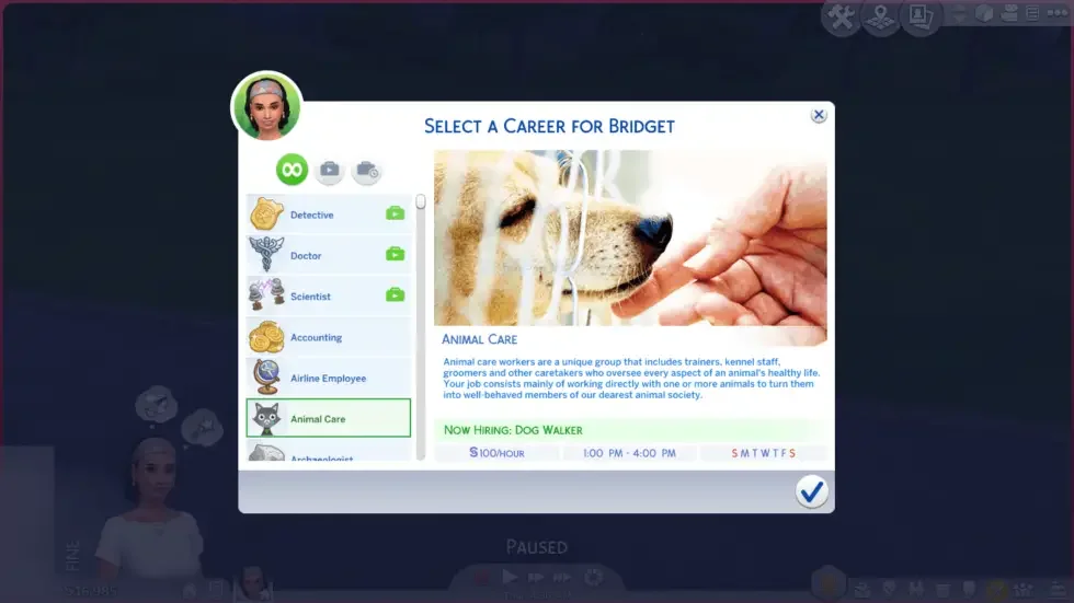 animal care career 40 Best Sims 4 Career Mods