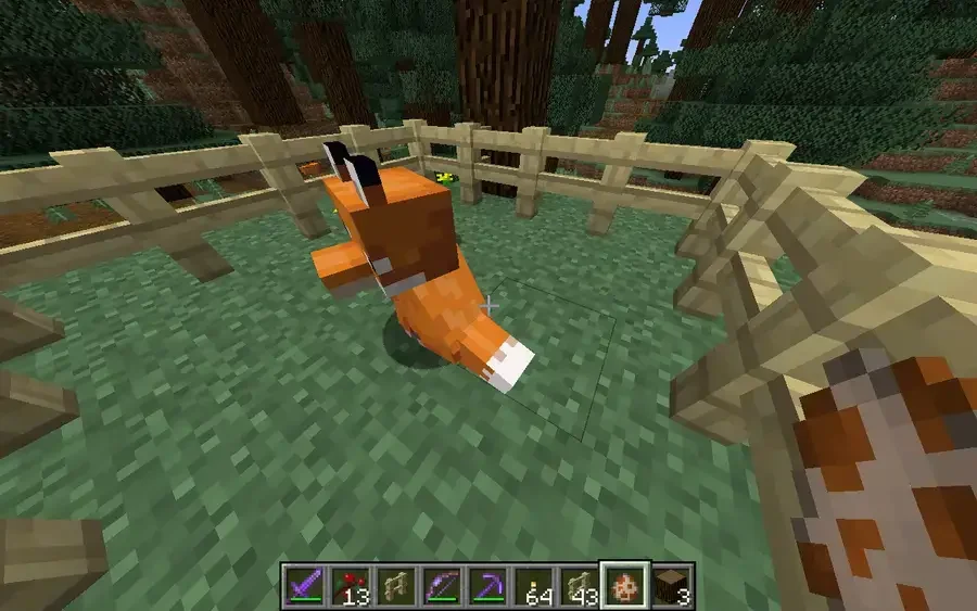 how to tame a How to tame a Fox in Minecraft?