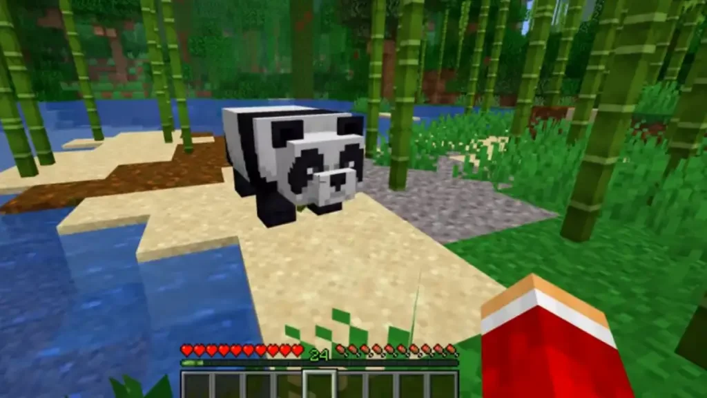 luring a panda How to Tame Pandas in Minecraft?