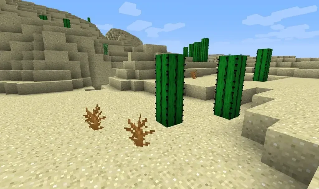 minecraft cactus desert 1 Minecraft Guide: Cactus Farming
