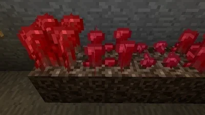 nether wart minecraft 1 How to Make a Potion of Healing in Minecraft