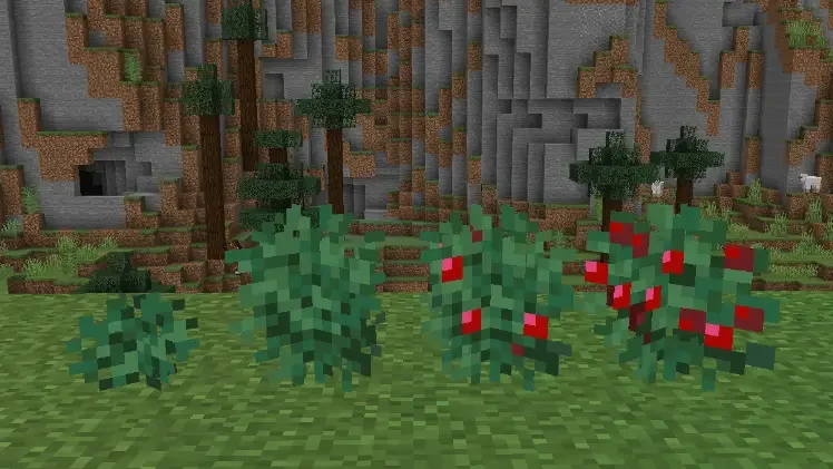 sweet berries minecraft 1 How to tame a Fox in Minecraft?
