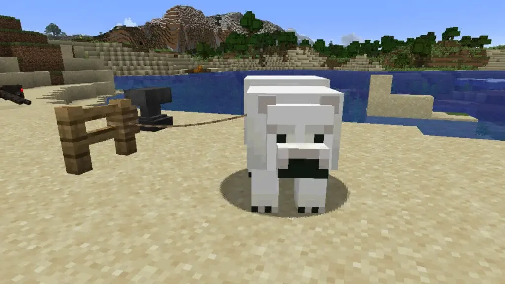 tamed polar bear How to Tame a Polar Bear in Minecraft?