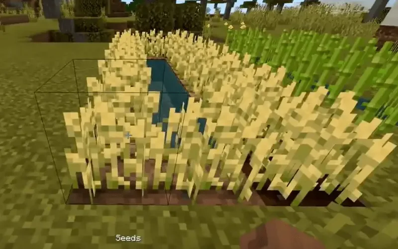 wheat minecraft What do Horses Eat in Minecraft?