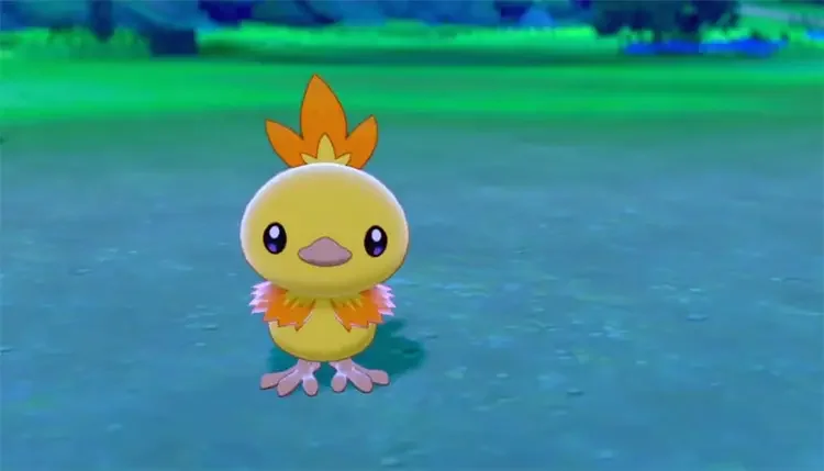 06 shiny torchic pokemon swsh 26 Best Shiny Starter Pokémon