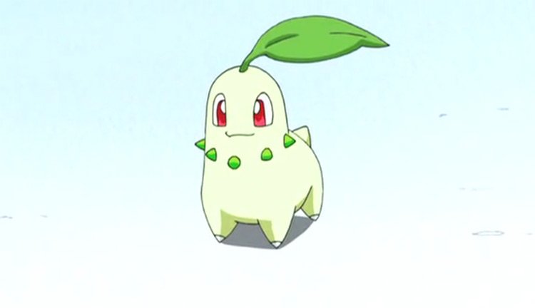 08 chikorita pokemon anime screenshot 8 Unique Grass-type Starter Packs