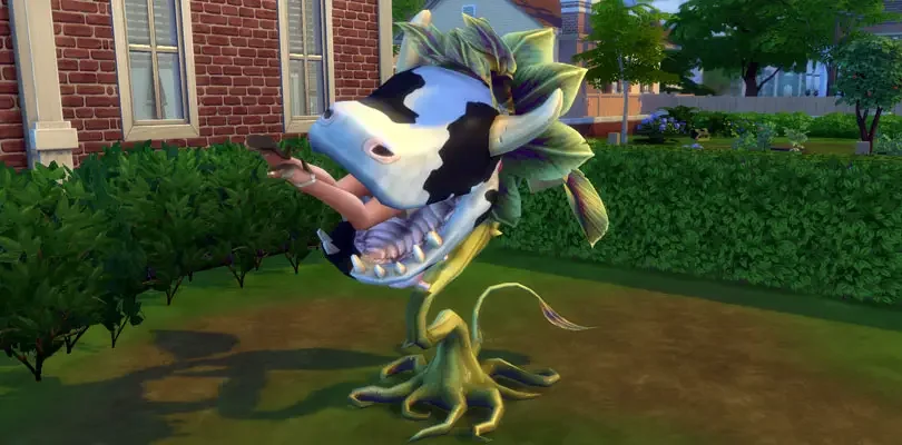 sims 4 death cowplant Sims 4 Death Guide: How to Kill your Sims