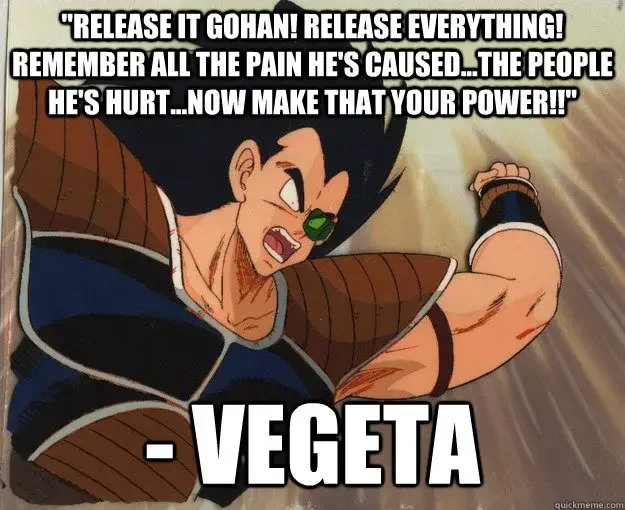 Release It Gohan 175+ Most Hilarious Dragon Ball Z Memes