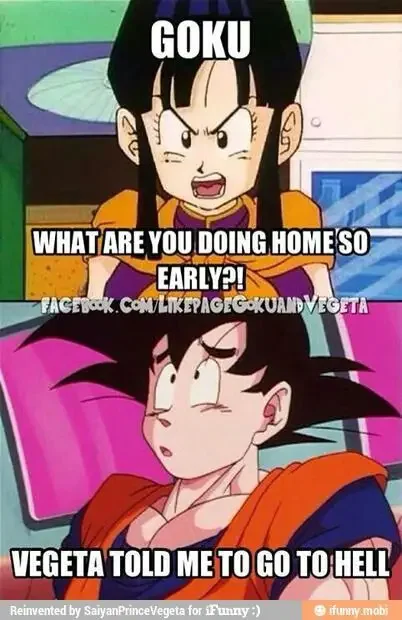 What Are you Doing 175+ Most Hilarious Dragon Ball Z Memes