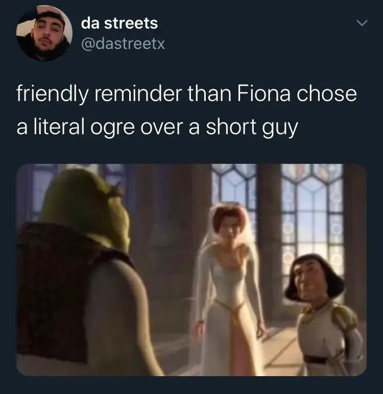 008 shrek short meme 160+ Shrek Memes of All Time