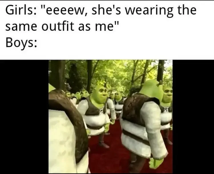 017 shrek outfit meme 160+ Shrek Memes of All Time