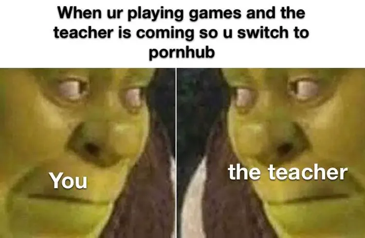020 shrek teacher meme 160+ Shrek Memes of All Time