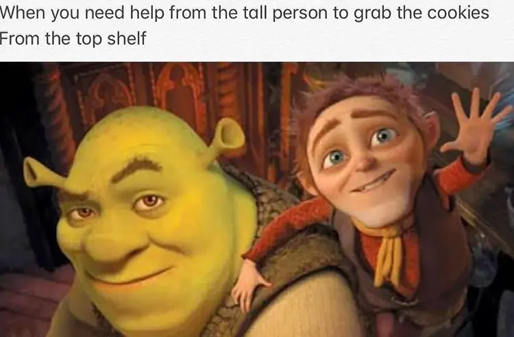 023 shrek tall meme 160+ Shrek Memes of All Time