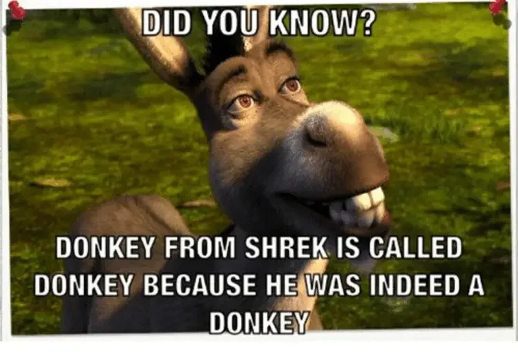 024 shrek donkey meme 160+ Shrek Memes of All Time