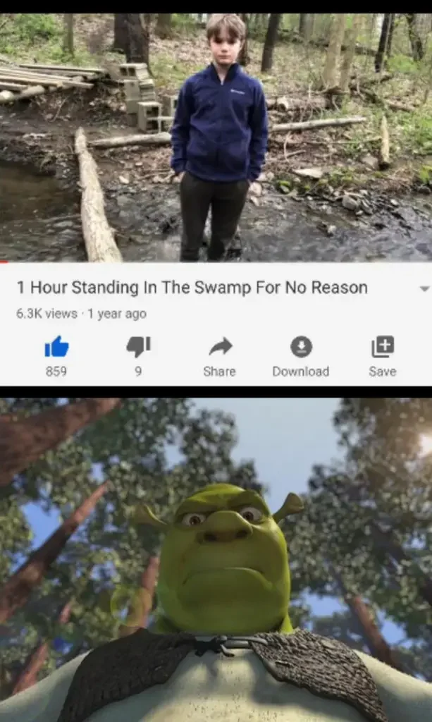 028 shrek swamp meme 160+ Shrek Memes of All Time
