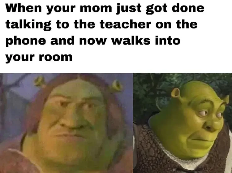 032 shrek mom meme 160+ Shrek Memes of All Time