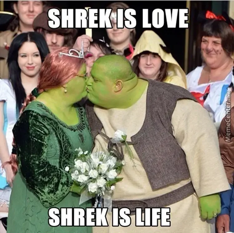 037 shrek love meme 160+ Shrek Memes of All Time