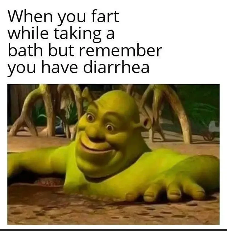 041 shrek diarrhea meme 160+ Shrek Memes of All Time