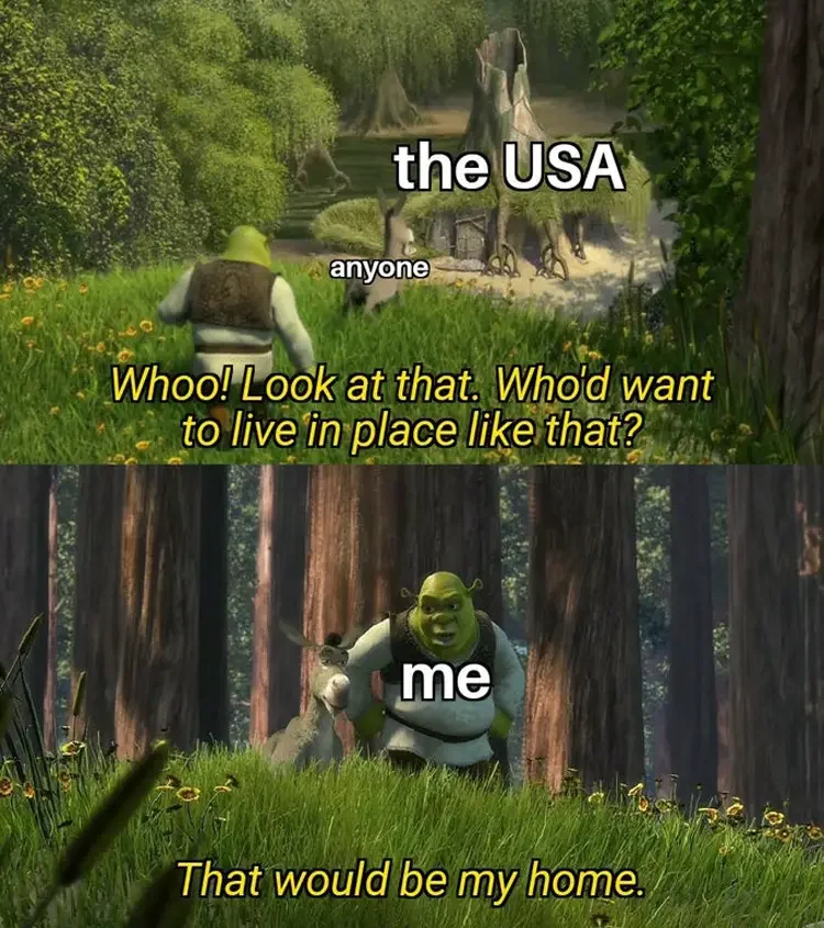 042 shrek USA meme 160+ Shrek Memes of All Time