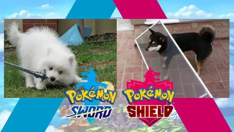 074 pokemon sword shield meme 180+ Pokémon Memes of All Time
