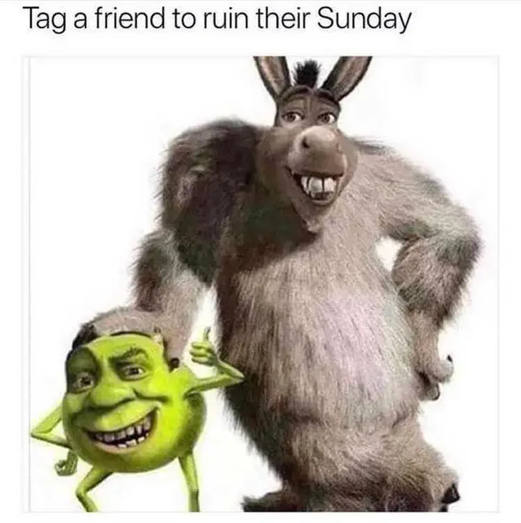 091 shrek sunday meme 160+ Shrek Memes of All Time