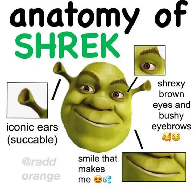 092 shrek anatomy meme 160+ Shrek Memes of All Time