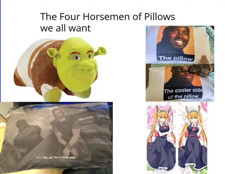102 shrek pillow meme 160+ Shrek Memes of All Time