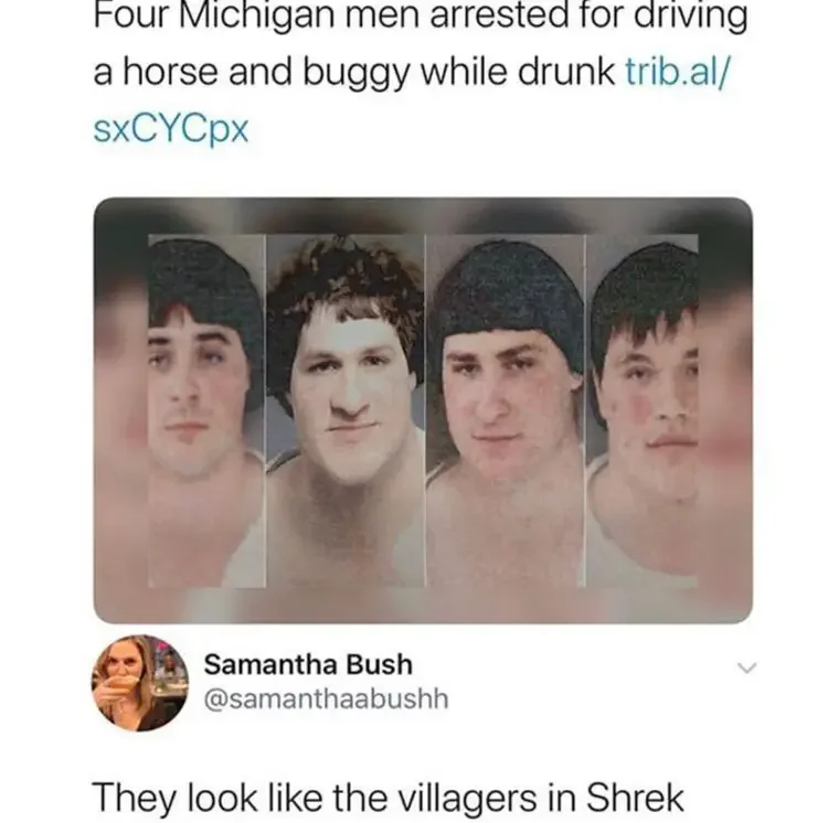 122 shrek villager meme 160+ Shrek Memes of All Time