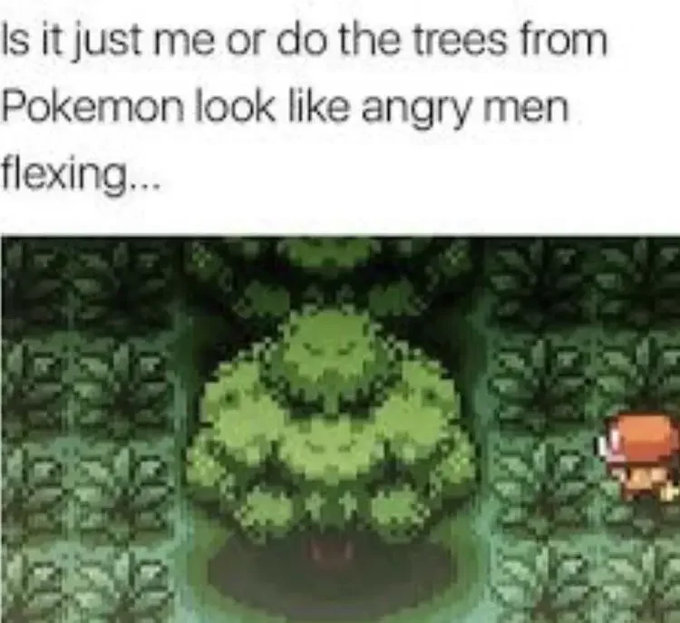 128 pokemon trees in pokemon meme 180+ Pokémon Memes of All Time