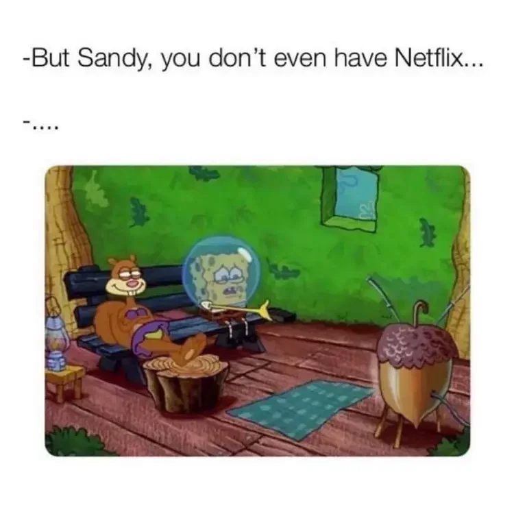 184 spongebob sandy netflix meme 250+ SpongeBob Memes of All Time
