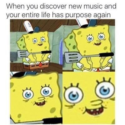 animal discover new music and entire life has purpose again 250+ SpongeBob Memes of All Time