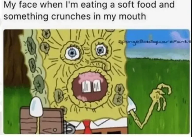 animal my face eating soft food and something crunches my mouth spongebobsiqarepants 250+ SpongeBob Memes of All Time