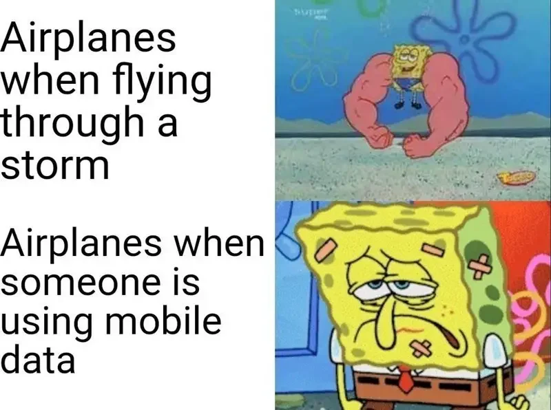 animal nuper airplanes flying through storm airplanes someone is using mobile data 250+ SpongeBob Memes of All Time