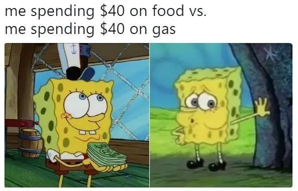 animal spending 40 on food vs spending 40 on gas 250+ SpongeBob Memes of All Time
