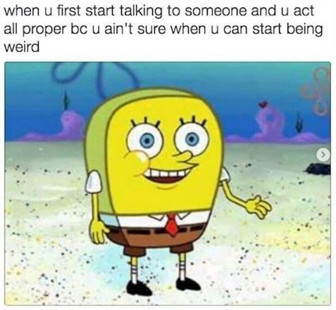 animal u first start talking someone and u act all proper bc u aint sure u can start being weird 250+ SpongeBob Memes of All Time