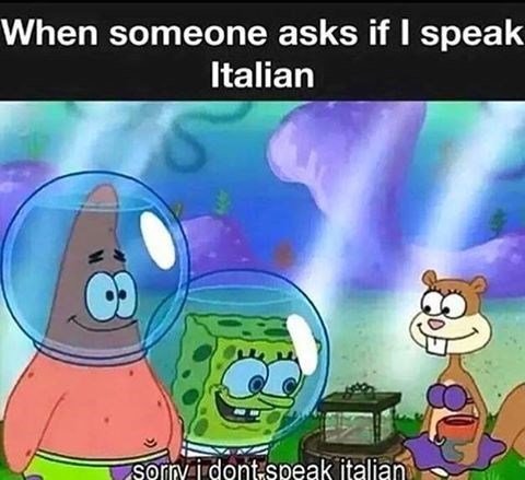 person someone asks if speak italian sorry idont speak italian 250+ SpongeBob Memes of All Time